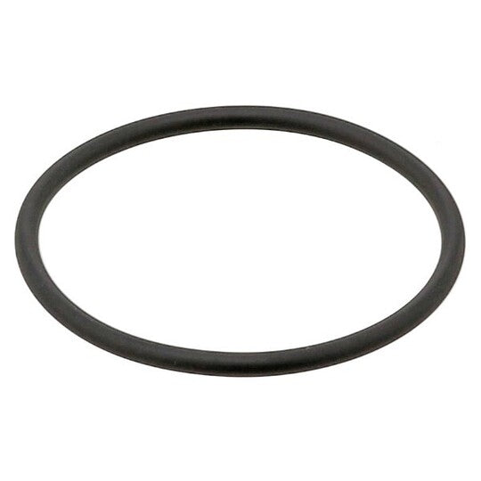 382.550 Gasket, thermostat