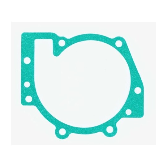 393.841 Gasket, water pump