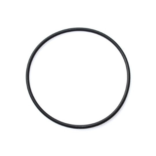 003.020 Seal, fuel filter