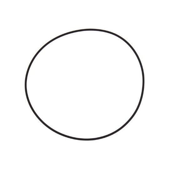 126.001 Seal Ring, cylinder liner