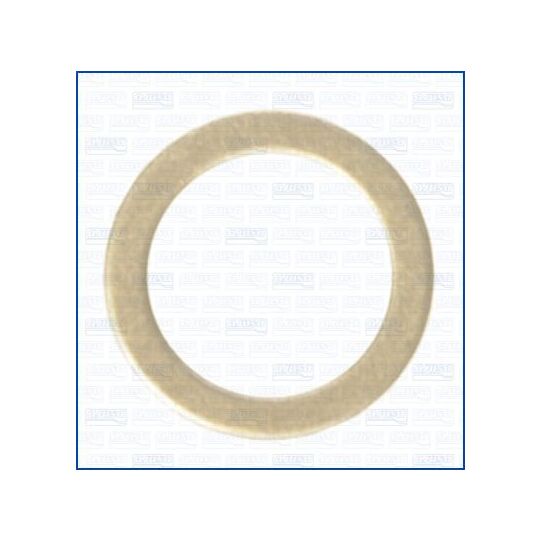 22018700 Seal Ring, oil drain plug