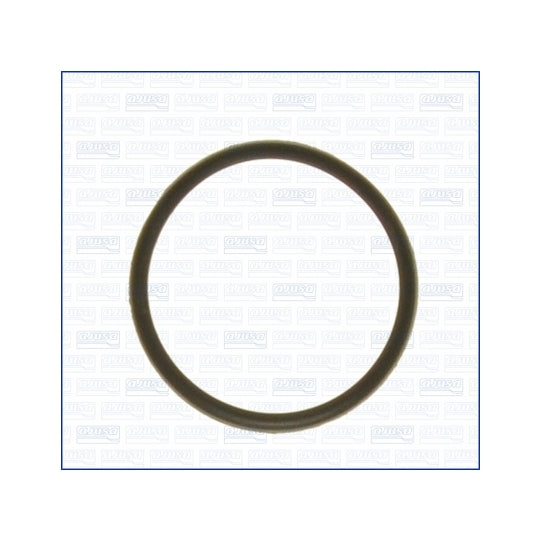 01029000 Gasket, thermostat