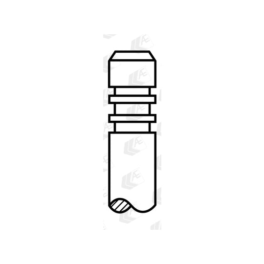 V95002 Outlet valve