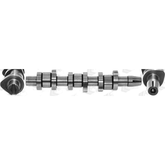 CAM1010 Camshaft