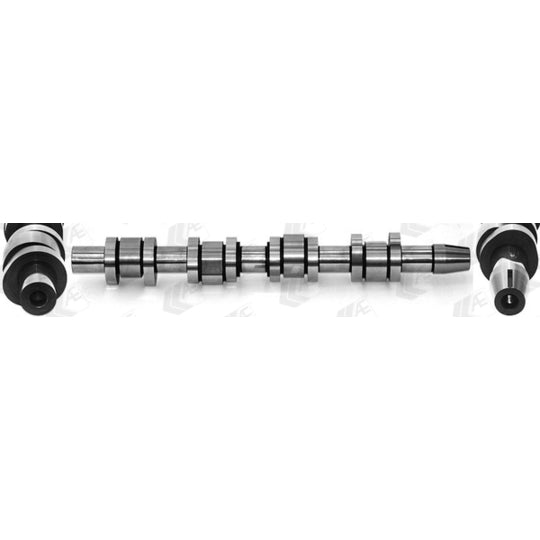 CAM1009 Camshaft