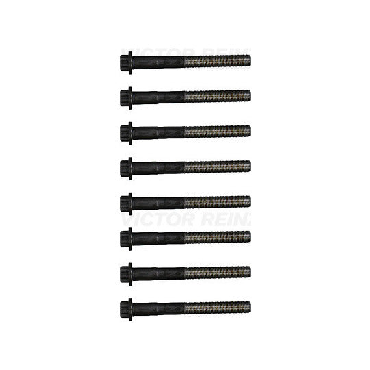 14-55099-01 Bolt Kit, cylinder head