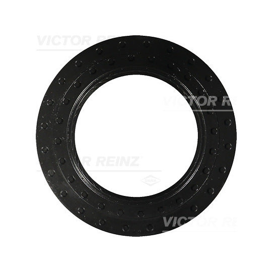 81-10407-00 Shaft Seal, crankshaft