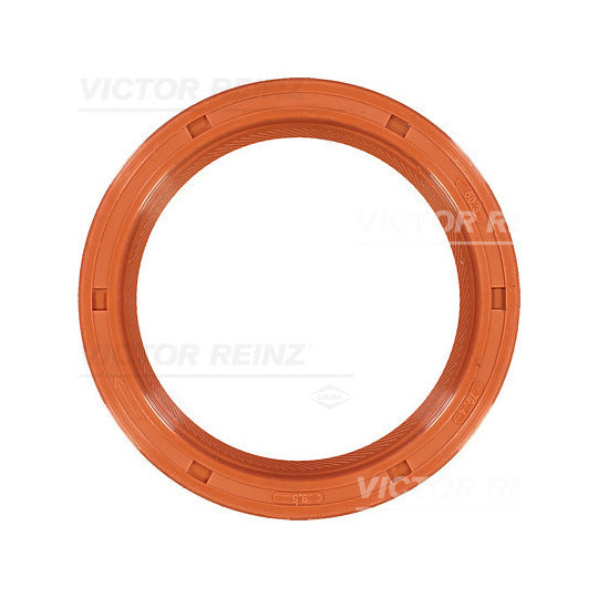 81-10099-00 Shaft Seal, crankshaft