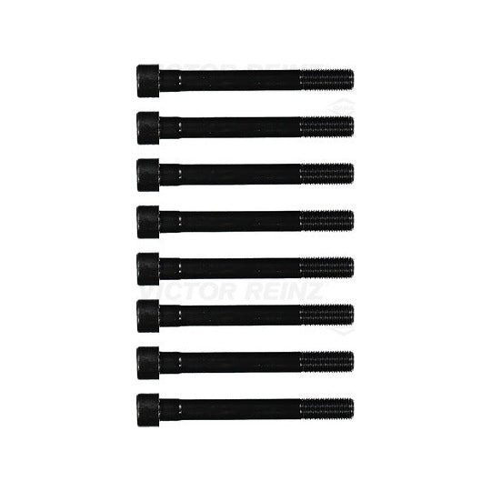 14-55063-01 Bolt Kit, cylinder head