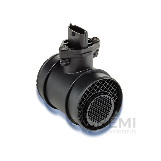 30138 Air Mass Sensor