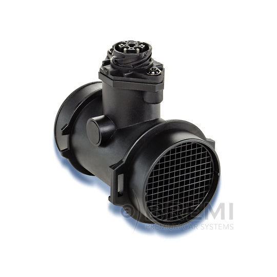30162 Air Mass Sensor