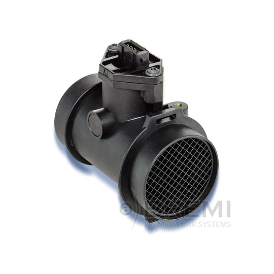 30165 Air Mass Sensor
