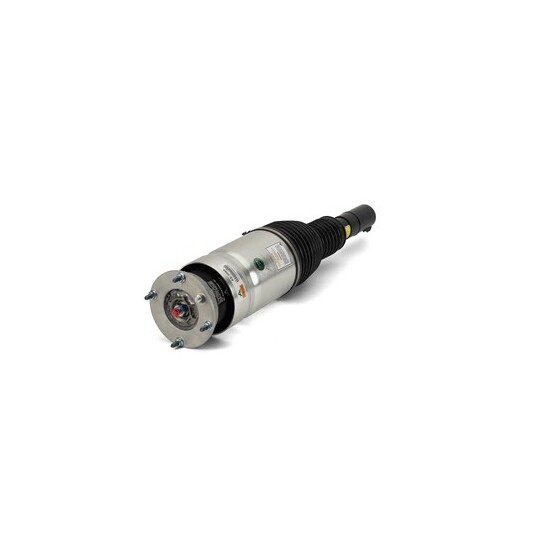 AS-3069 Air Spring Strut