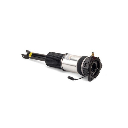 AS-2959 Air Spring Strut