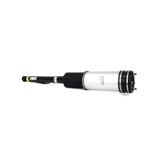 AS-2194 Air Spring Strut