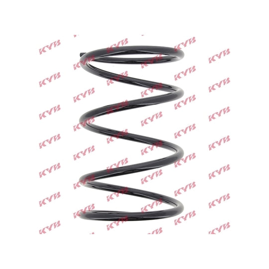 RD1613 Coil Spring