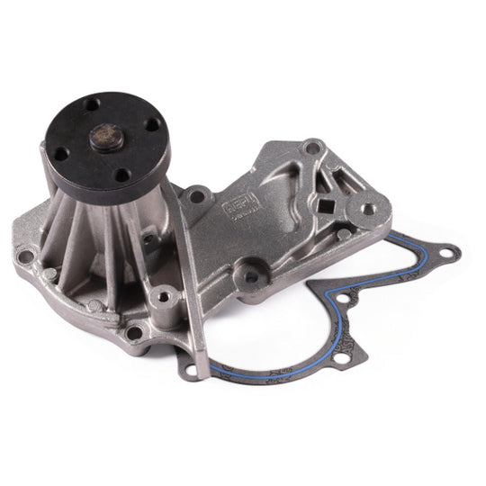 P255 Water pump