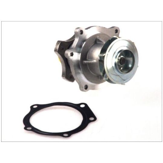 D1Y033TT Water pump
