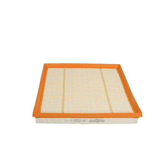 26-2509 Air filter