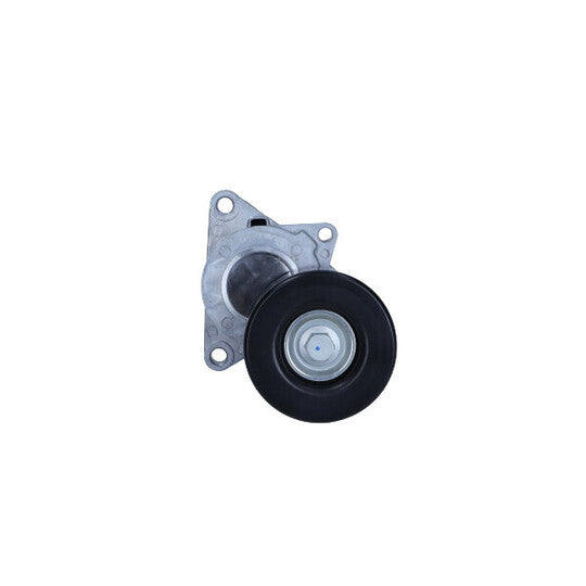 54-1613 Tensioner Pulley, v-ribbed belt