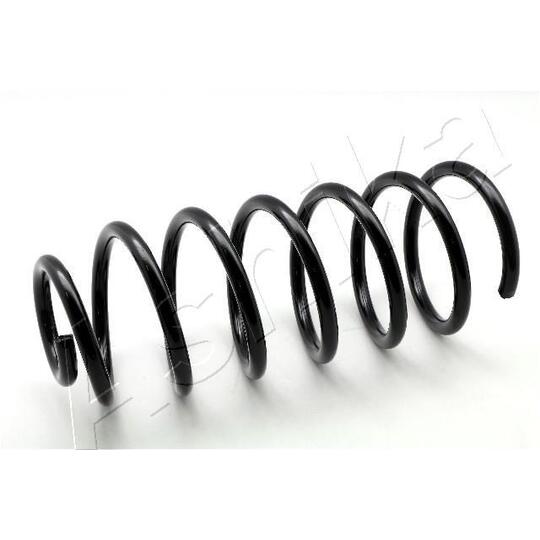 ZCA1695C Coil Spring