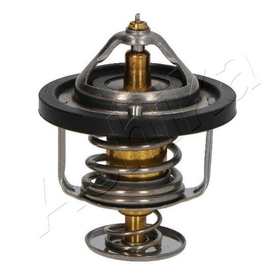 38-03-315 Thermostat, coolant