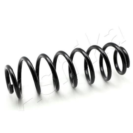 ZCA5549H Coil Spring