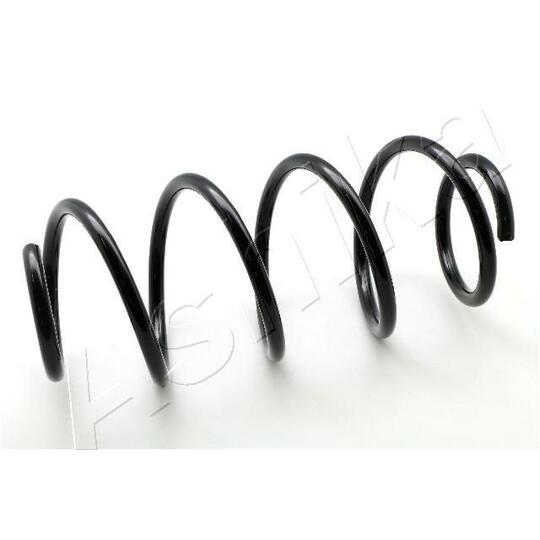 ZCA1713H Coil Spring