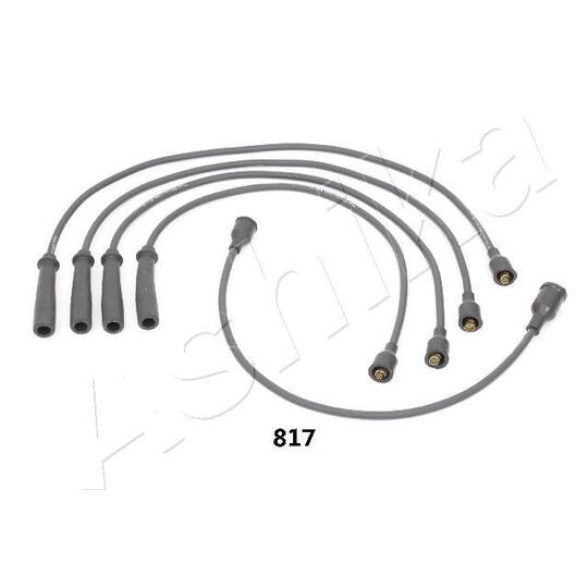 132-08-817 Ignition Cable Kit