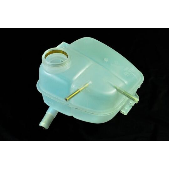 DBX006TT Expansion Tank, coolant