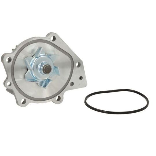 D1K006TT Water pump
