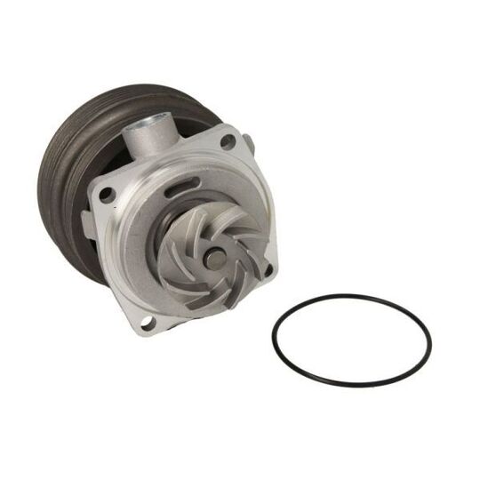 D1F070TT Water pump