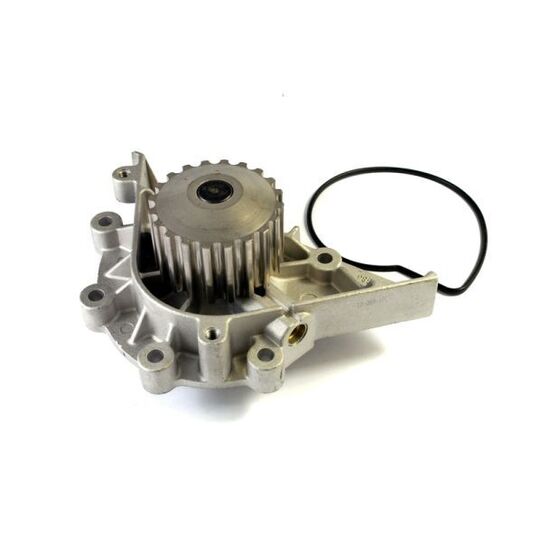D1P040TT Water pump