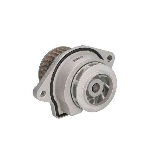 D1W019TT Water pump