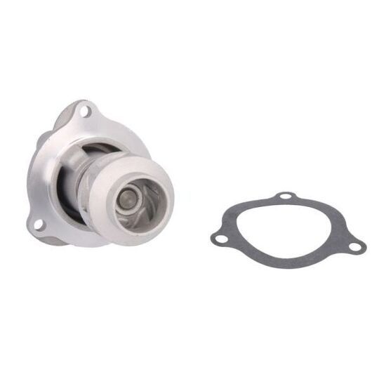 D1G054TT Water pump