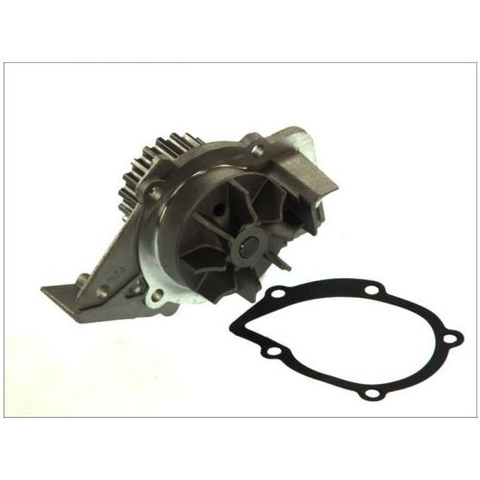 D1P045TT Water pump