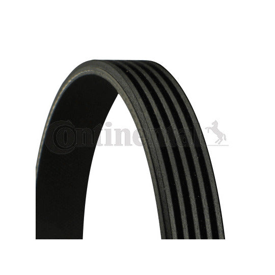 5PK775 V-Ribbed Belt