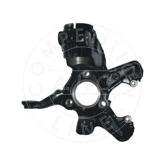55696 Steering Knuckle, wheel suspension