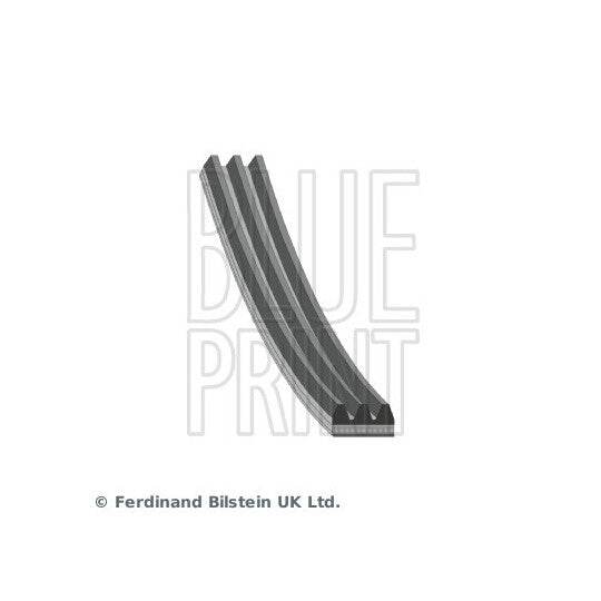 AD03R854 V-Ribbed Belt