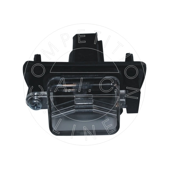 55771 Licence Plate Light