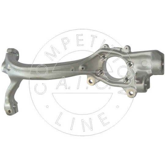 55831 Steering Knuckle, wheel suspension