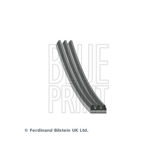 AD03R872 V-Ribbed Belt
