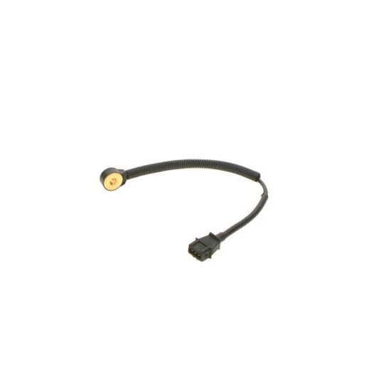 0 261 231 232 Knock Sensor