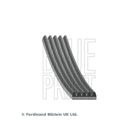 AD05R1135 V-Ribbed Belt