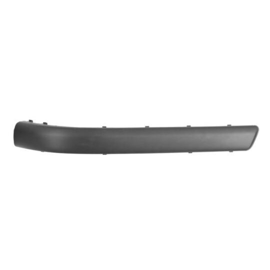 6502-07-9539972P Trim/Protective Strip, bumper
