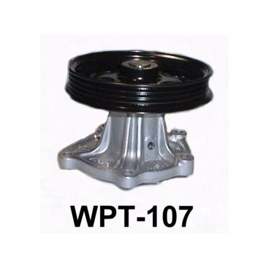 WPT-107 Water pump