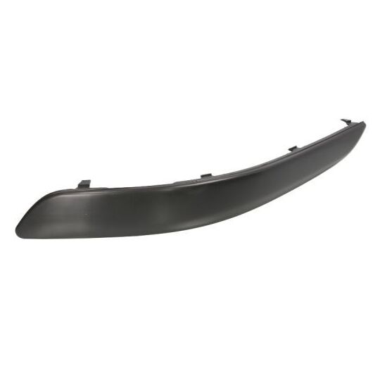 5513-00-9545925P Trim/Protective Strip, bumper