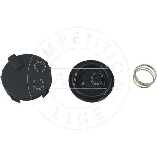 57245 Valve, engine block breather