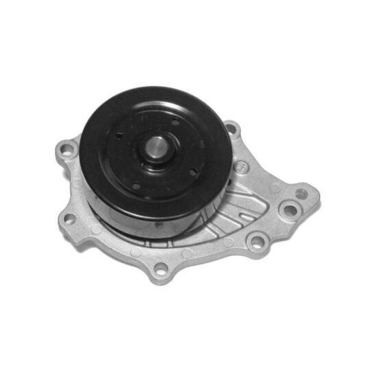 WPT-914A Water pump