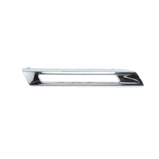 6502-07-3539921P Trim/Protective Strip, bumper